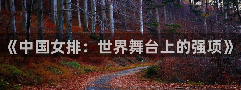 足球世界杯2026年赛程时间表:《中国女排:世界舞台上的强项》