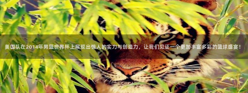 世界杯欧洲预选赛赛程:美国队在2014年男篮世界杯上展现出惊人的实力与创造力,让我们见证一个更加丰富多彩的篮球盛宴!