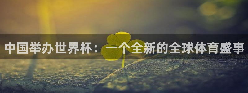 2026年男足世界杯:中国举办世界杯:一个全新的全球体育盛事