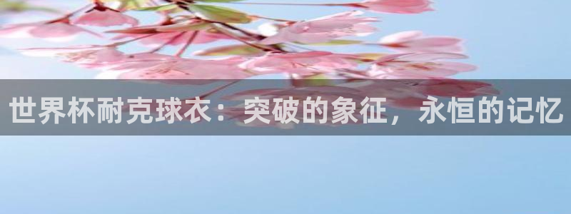 2026世界杯买球:世界杯耐克球衣:突破的象征,永恒的记忆
