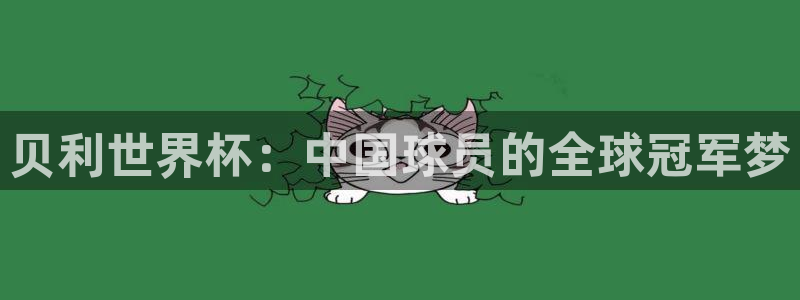世界杯 中国:贝利世界杯:中国球员的全球冠军梦