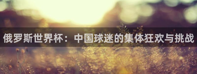 世界直播:俄罗斯世界杯:中国球迷的集体狂欢与挑战